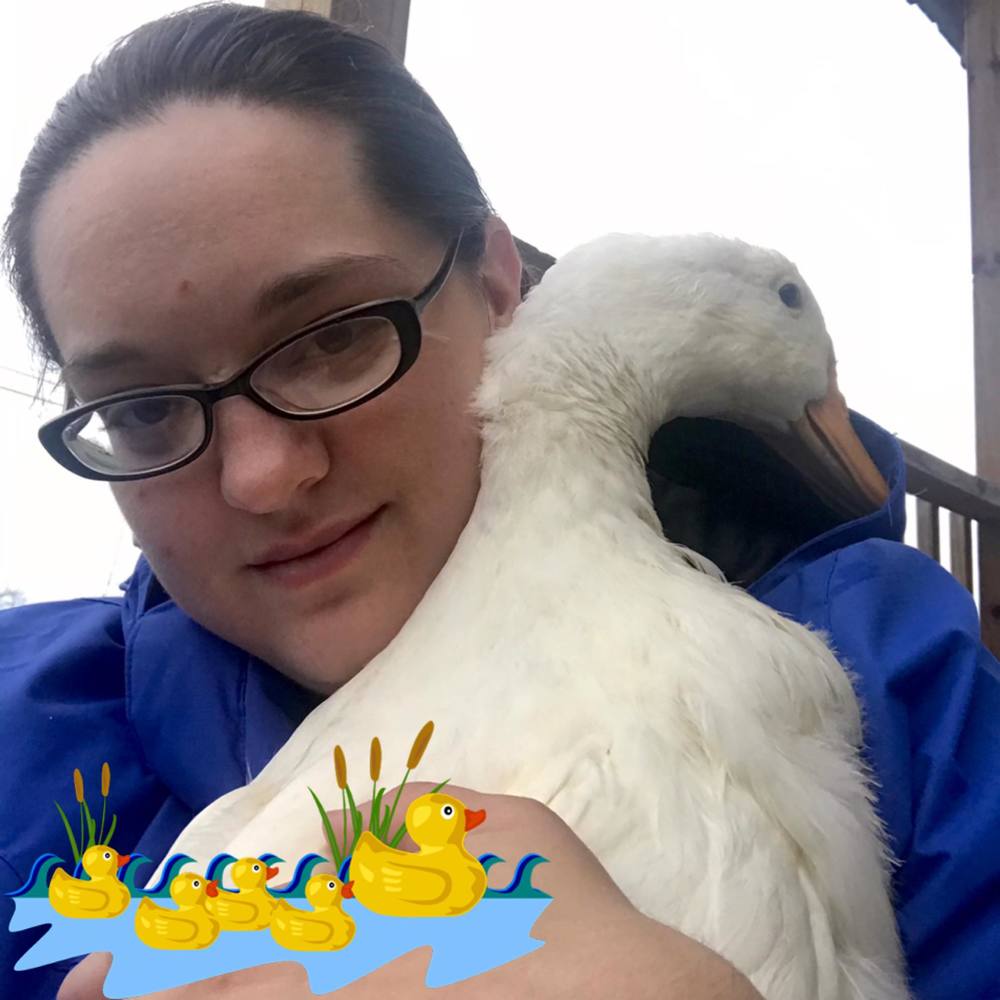 Meet your Posher, Brittany